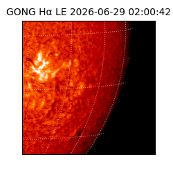 gong - 2026-06-29T02:00:42