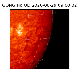 gong - 2026-06-29T09:00:02