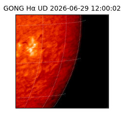 gong - 2026-06-29T12:00:02
