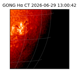 gong - 2026-06-29T13:00:42