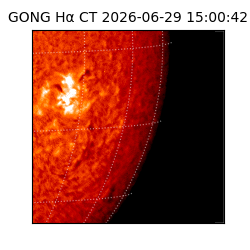 gong - 2026-06-29T15:00:42