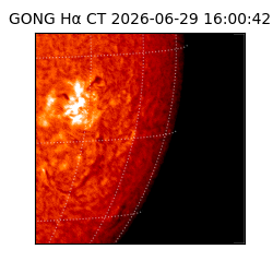 gong - 2026-06-29T16:00:42