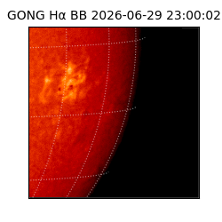 gong - 2026-06-29T23:00:02