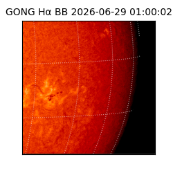 gong - 2026-06-29T01:00:02