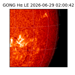 gong - 2026-06-29T02:00:42