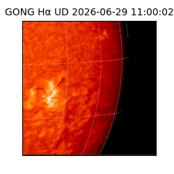 gong - 2026-06-29T11:00:02