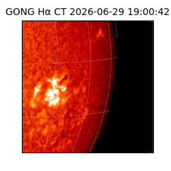 gong - 2026-06-29T19:00:42