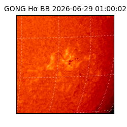 gong - 2026-06-29T01:00:02