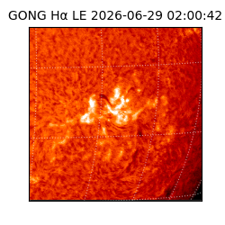 gong - 2026-06-29T02:00:42
