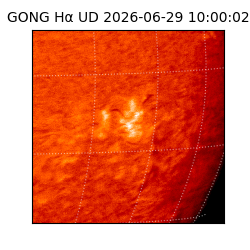 gong - 2026-06-29T10:00:02
