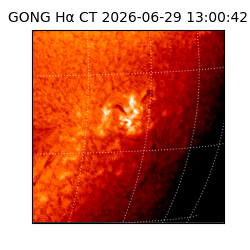 gong - 2026-06-29T13:00:42