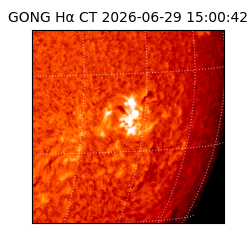 gong - 2026-06-29T15:00:42
