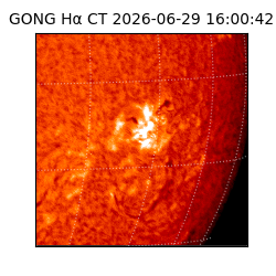 gong - 2026-06-29T16:00:42