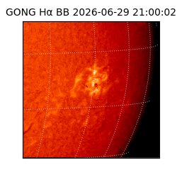 gong - 2026-06-29T21:00:02