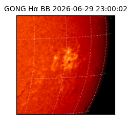 gong - 2026-06-29T23:00:02