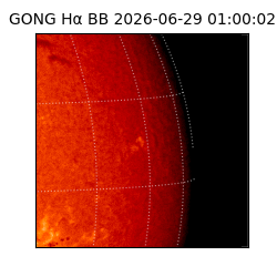 gong - 2026-06-29T01:00:02
