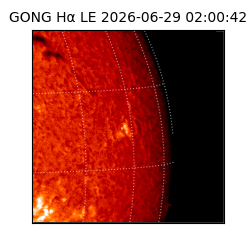 gong - 2026-06-29T02:00:42