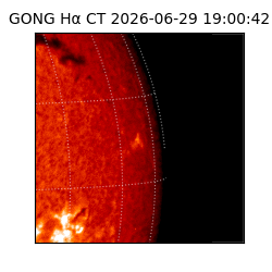 gong - 2026-06-29T19:00:42