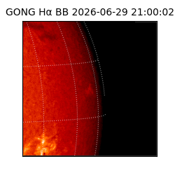 gong - 2026-06-29T21:00:02