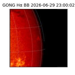 gong - 2026-06-29T23:00:02