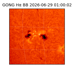 gong - 2026-06-29T01:00:02