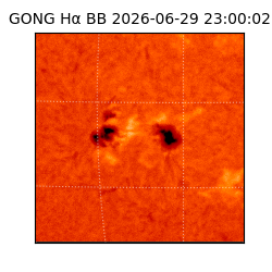 gong - 2026-06-29T23:00:02