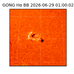 gong - 2026-06-29T01:00:02