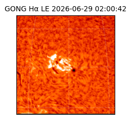 gong - 2026-06-29T02:00:42