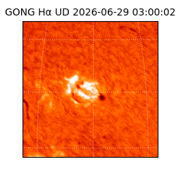 gong - 2026-06-29T03:00:02