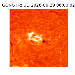 gong - 2026-06-29T06:00:02