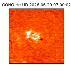 gong - 2026-06-29T07:00:02
