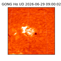 gong - 2026-06-29T09:00:02