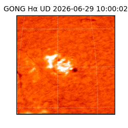 gong - 2026-06-29T10:00:02