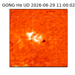 gong - 2026-06-29T11:00:02
