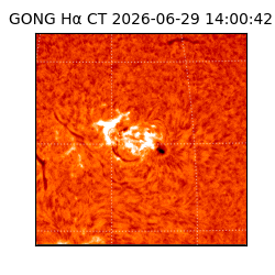 gong - 2026-06-29T14:00:42