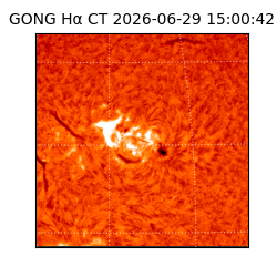 gong - 2026-06-29T15:00:42
