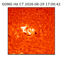 gong - 2026-06-29T17:00:42
