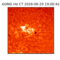 gong - 2026-06-29T19:00:42
