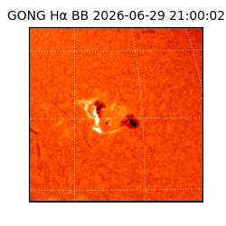 gong - 2026-06-29T21:00:02