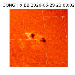 gong - 2026-06-29T23:00:02