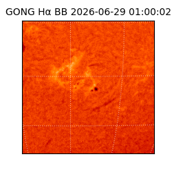 gong - 2026-06-29T01:00:02