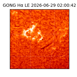 gong - 2026-06-29T02:00:42