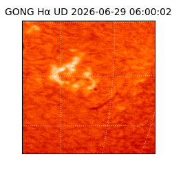 gong - 2026-06-29T06:00:02