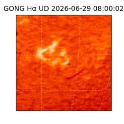 gong - 2026-06-29T08:00:02