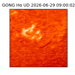 gong - 2026-06-29T09:00:02
