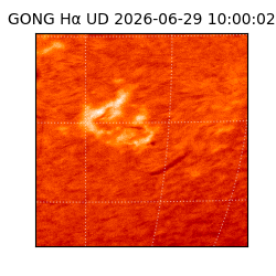 gong - 2026-06-29T10:00:02
