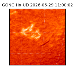 gong - 2026-06-29T11:00:02