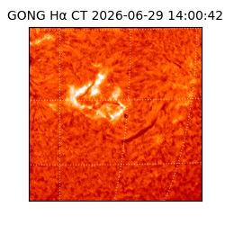 gong - 2026-06-29T14:00:42