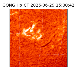 gong - 2026-06-29T15:00:42