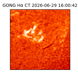 gong - 2026-06-29T16:00:42